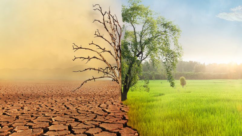 Những biểu hiện rõ rệt của biến đổi khí hậu