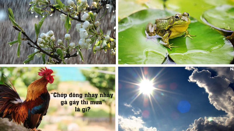 Những câu ca dao, tục ngữ dự báo thời tiết khác Những câu ca dao, tục ngữ dự báo thời tiết khác