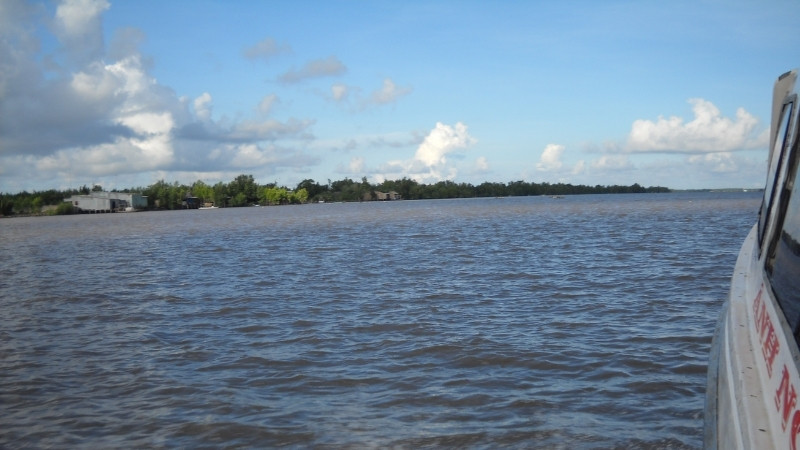 Cá ẩn nấp dưới vùng nước sâu