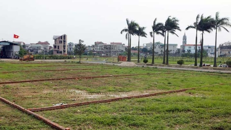 Mùi đất báo hiệu mưa bão