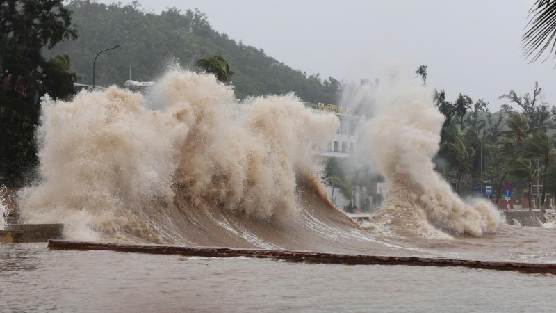 Sóng bạc đầu đập vào bờ