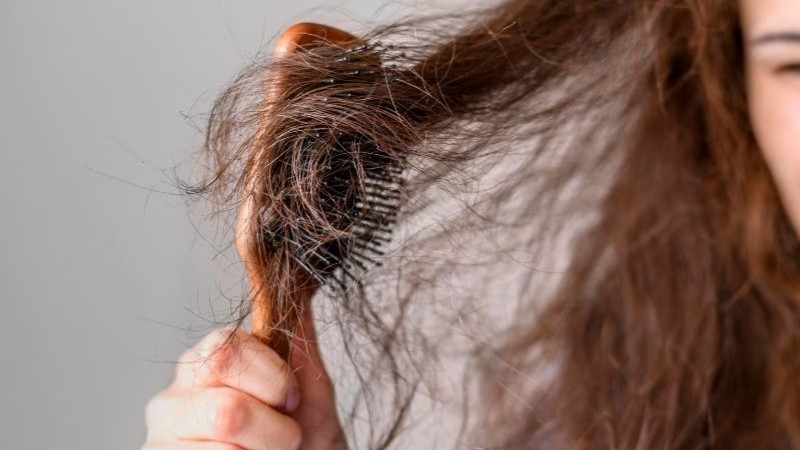 Dấu hiệu và đặc điểm nhận biết tóc rễ tre