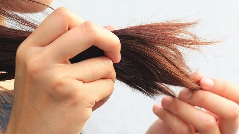 Giải đáp các câu hỏi liên quan đến tóc chẻ ngọn có nên cắt không