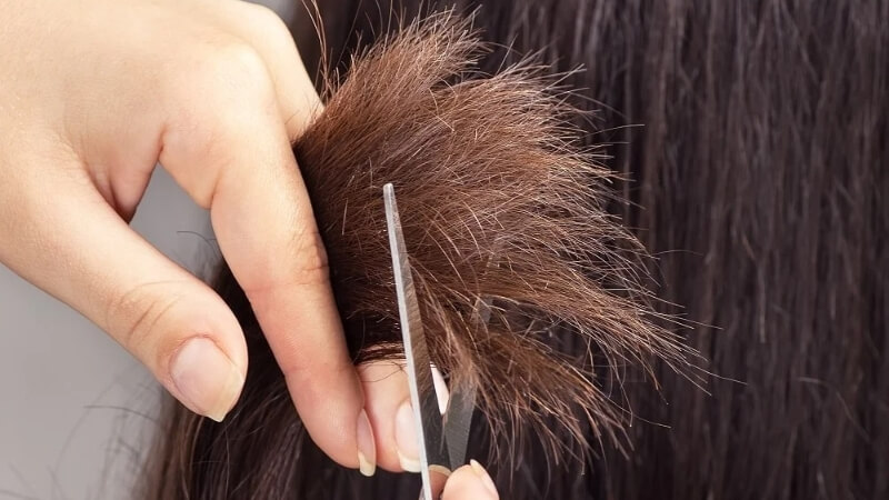 Cắt phần tóc chẻ ngọn là bước chăm sóc tối thiểu để giữ cho mái tóc luôn chắc khỏe
