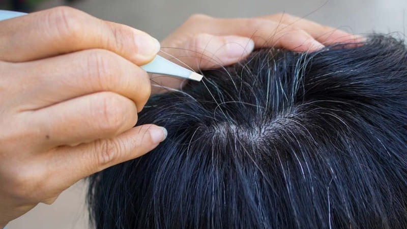 Bổ sung dưỡng chất kịp thời có thể giúp tóc dần sẫm màu hơn