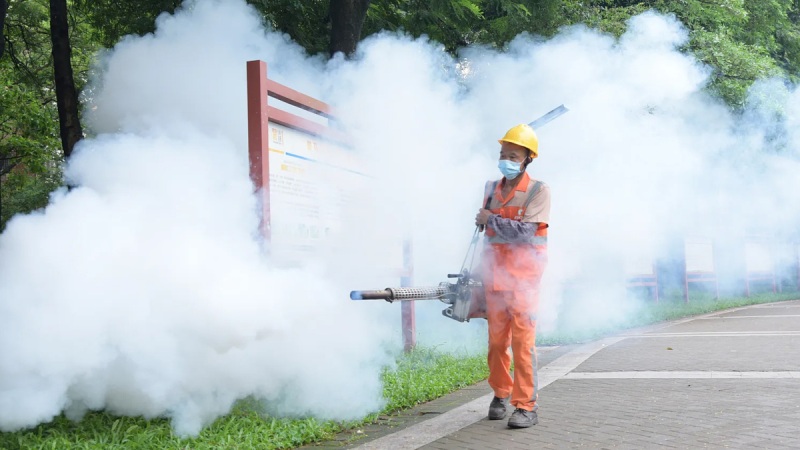Tình hình dịch bệnh Chikungunya hiện nay trên thế giới và tại Việt Nam