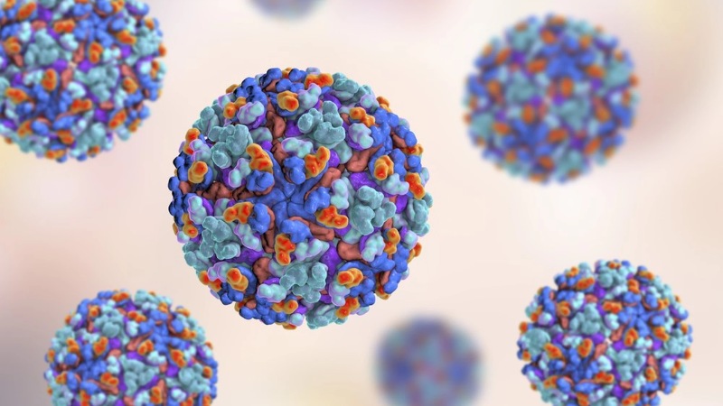 Bệnh Chikungunya là một bệnh truyền nhiễm do virus Chikungunya (CHIKV) gây ra