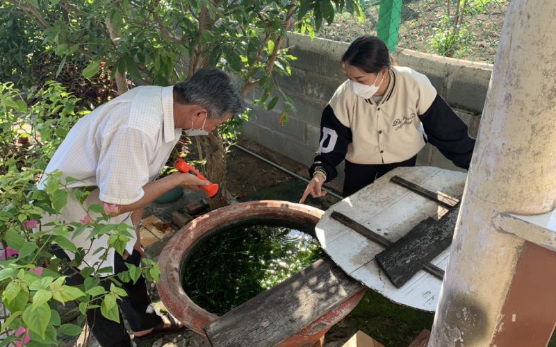 Diệt muỗi và lăng quăng (bọ gậy)