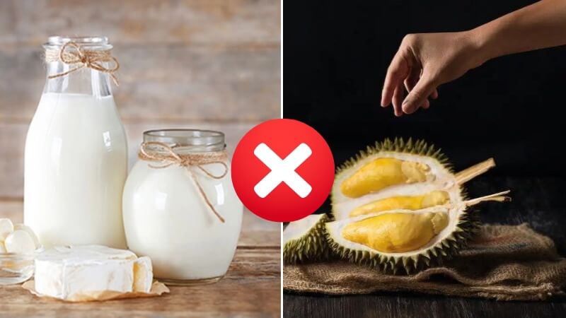 Sữa bọ là thực phẩm kỵ khi ăn cùng với sầu riêng