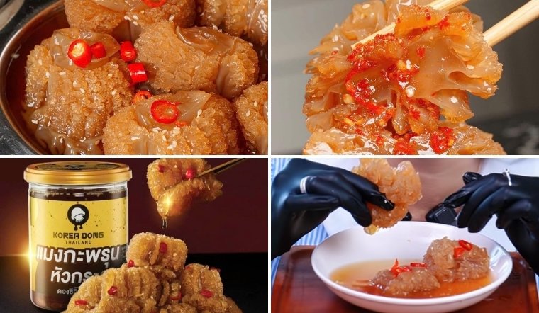 Sứa đạn Thái Lan là gì? Vì sao có giá gần 1 triệu mà vẫn gây sốt?