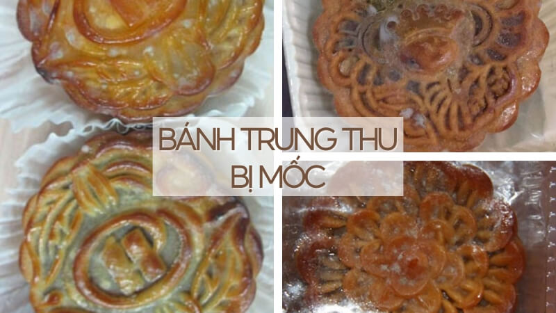 Các chuyên gia an toàn thực phẩm đều cảnh báo rằng không nên ăn