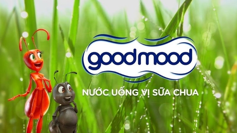 Các câu hỏi thường gặp