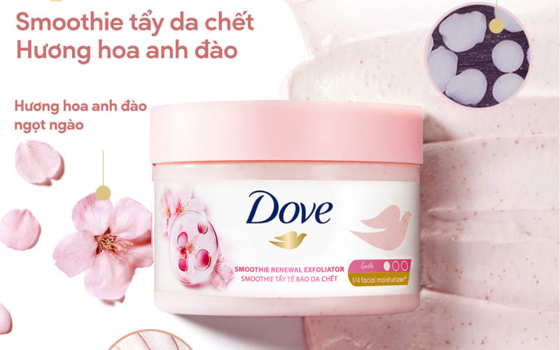 Hoa Anh Đào (Sakura) - Nàng thơ dịu dàng, thanh lịch Hoa Anh Đào (Sakura) - Nàng thơ dịu dàng, thanh lịch