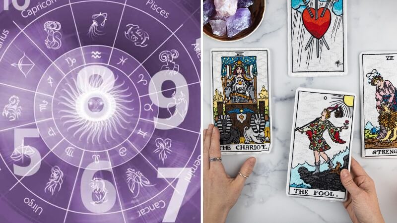 Mối liên hệ và cách chúng bổ trợ cho nhau