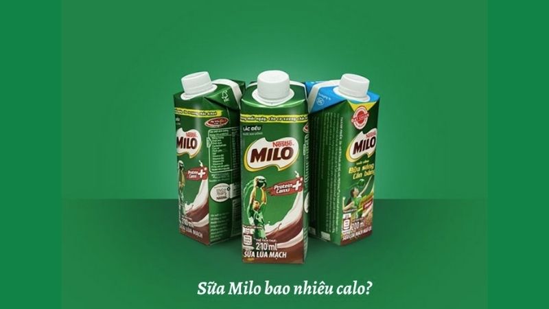 Sữa Milo bao nhiêu calo? Sữa Milo bao nhiêu calo?
