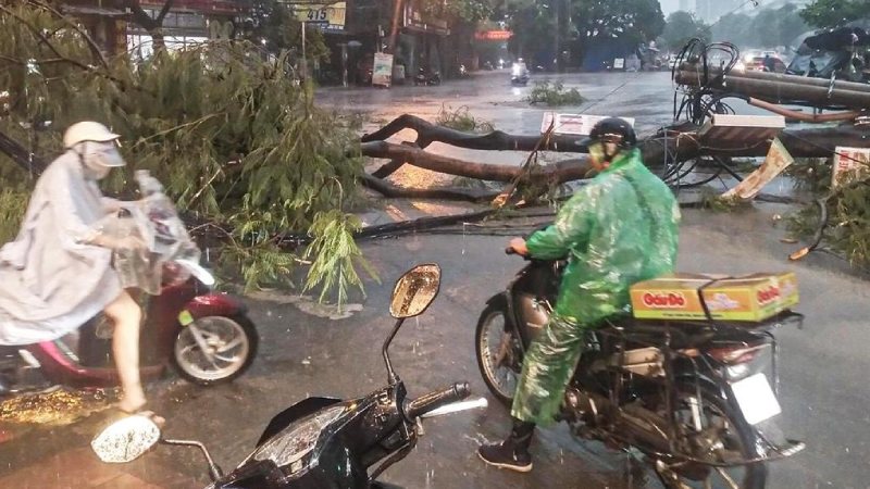 Hướng dẫn khẩn cấp các biện pháp phòng chống bão số 5 Hướng dẫn khẩn cấp các biện pháp phòng chống bão số 5