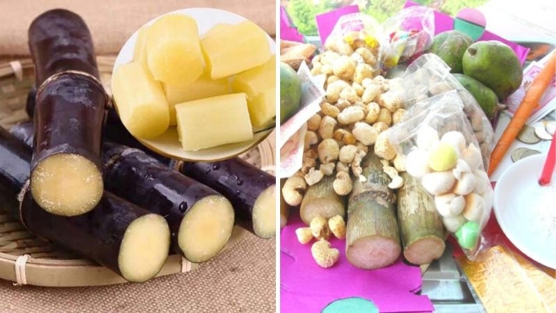 Lưu ý quan trọng khi cúng cô hồn có mía Lưu ý quan trọng khi cúng cô hồn có mía