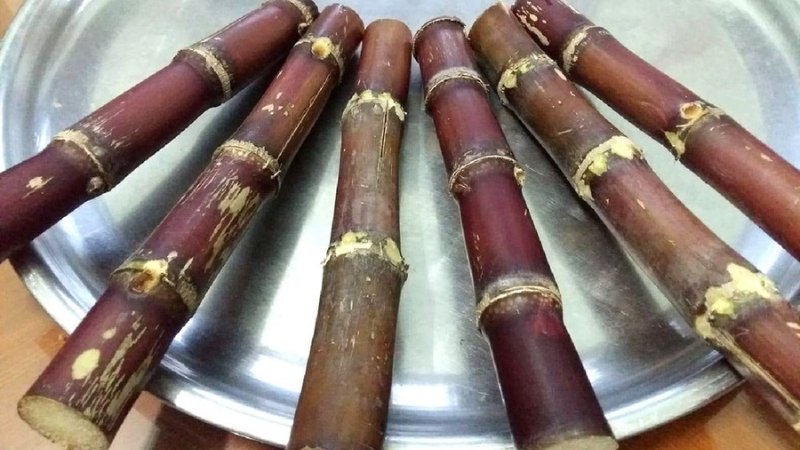 FAQ – Hỏi nhanh đáp gọn FAQ – Hỏi nhanh đáp gọn