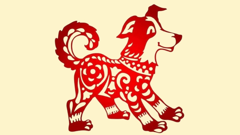 Tuổi Tuất có cơ hội khẳng định bản thân Tuổi Tuất có cơ hội khẳng định bản thân