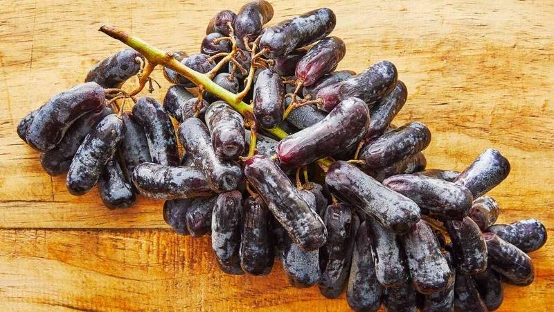 Nho phù thủy thuộc phân khúc trái cây nhập khẩu cao cấp Nho phù thủy thuộc phân khúc trái cây nhập khẩu cao cấp