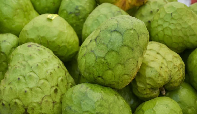 Quả cherimoya (mãng cầu Mễ): Loại quả vị kem được mệnh danh ngon nhất thế giới
