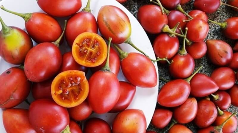 Giá trị dinh dưỡng và công dụng sức khỏe của tamarillo Giá trị dinh dưỡng và công dụng sức khỏe của tamarillo