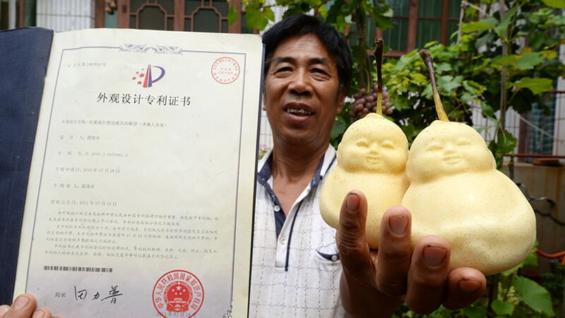Lê hình người là một sản phẩm có thật Lê hình người là một sản phẩm có thật