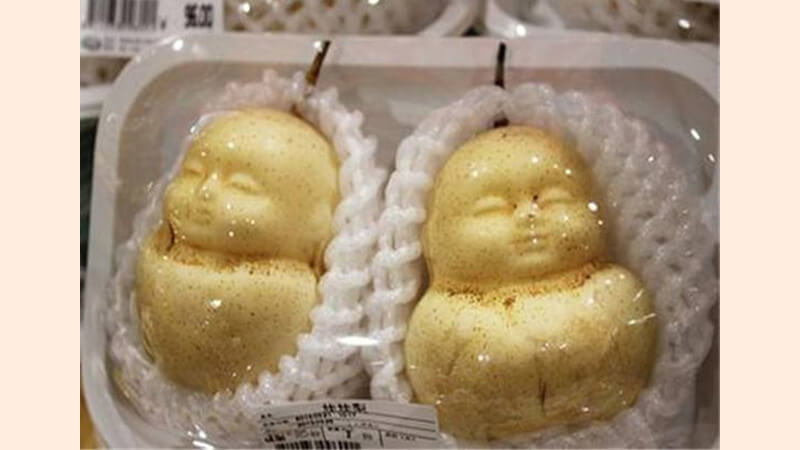 Tại Việt Nam lê hình người rất khó tìm mua Tại Việt Nam lê hình người rất khó tìm mua