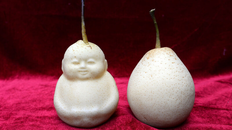 Hương vị của quả lê hình người Hương vị của quả lê hình người