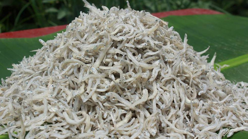 Đặc điểm nhận dạng cá mờm Đặc điểm nhận dạng cá mờm