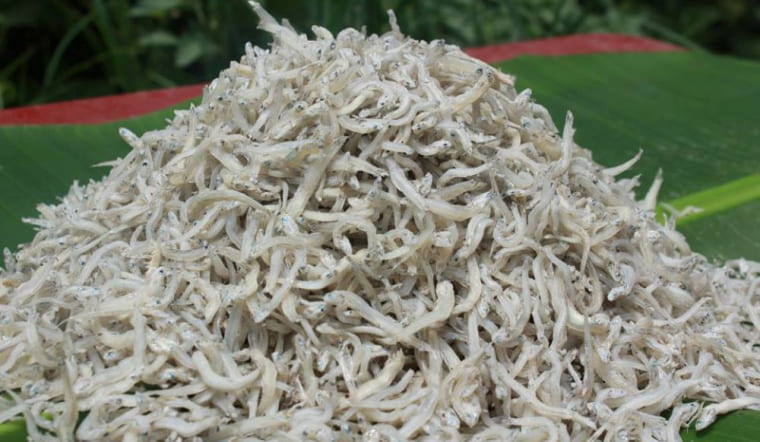 Cá mờm khô là gì? 5 món ngon khó cưỡng từ đặc sản biển này