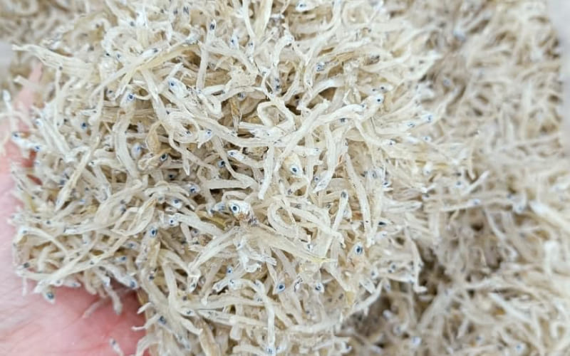 Cách chọn và bảo quản cá mờm khô Cách chọn và bảo quản cá mờm khô