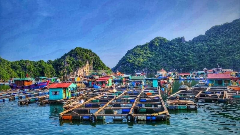 Làng chài Cửa Vạn Làng chài Cửa Vạn