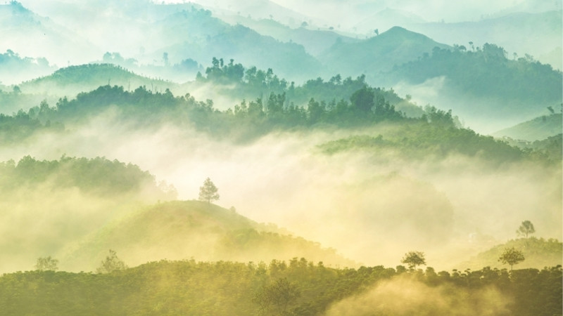 Tiết Bạch Lộ 2025 rơi vào ngày 7/9 dương lịch