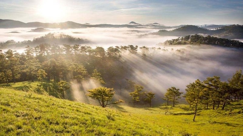 Bạch Lộ là một trong 6 tiết khí của mùa thu