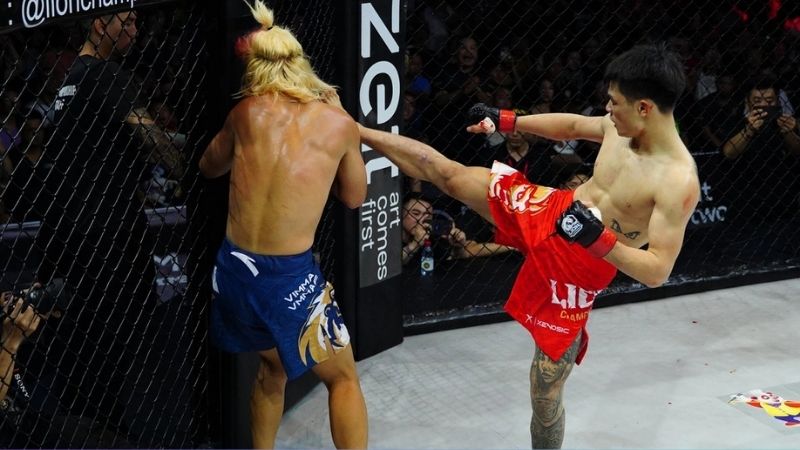 MMA ra đời từ ý tưởng võ thuật tổng hợp cổ đại, phát triển mạnh mẽ từ khi UFC MMA ra đời từ ý tưởng võ thuật tổng hợp cổ đại, phát triển mạnh mẽ từ khi UFC