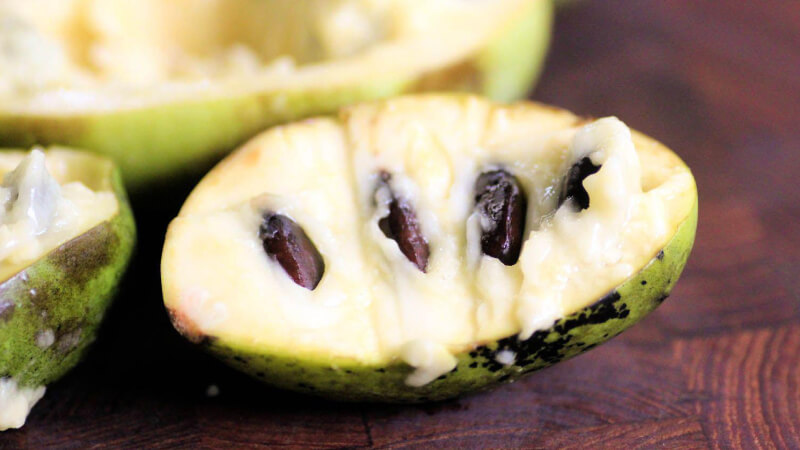 Quả Pawpaw và mãng cầu cùng thuộc họ Mãng cầu (Annonaceae) Quả Pawpaw và mãng cầu cùng thuộc họ Mãng cầu (Annonaceae)
