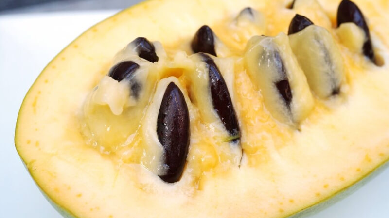 Quả Pawpaw là nguồn cung cấp dinh dưỡng dồi dào Quả Pawpaw là nguồn cung cấp dinh dưỡng dồi dào