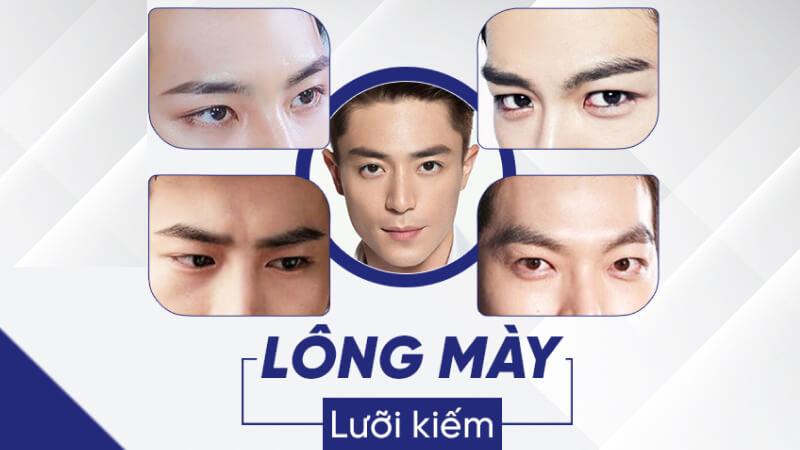 Lông mày kiếm (Kiếm mi) Lông mày kiếm (Kiếm mi)