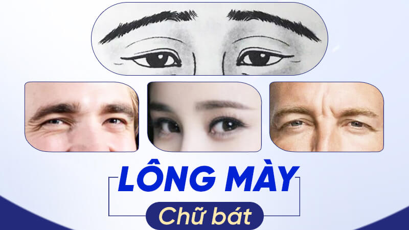 Lông mày chữ Bát Lông mày chữ Bát
