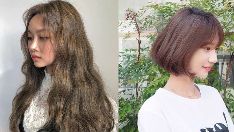 Các tone màu nâu, vàng (Màu tương hợp) Các tone màu nâu, vàng (Màu tương hợp)