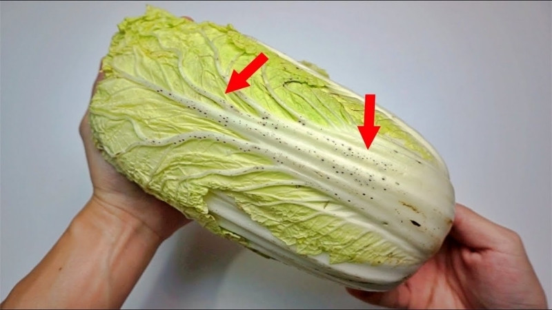 Phân biệt các loại đốm đen trên cải thảo Phân biệt các loại đốm đen trên cải thảo