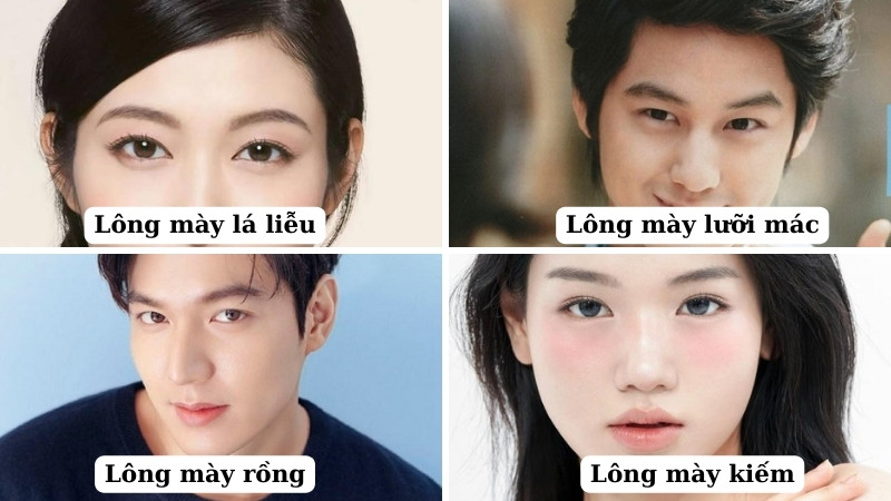 Các dáng lông mày hợp phong thủy