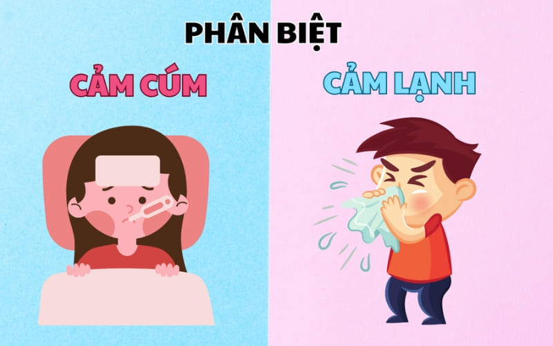 Cảm cúm và cảm lạnh thông thường khác nhau về mức độ