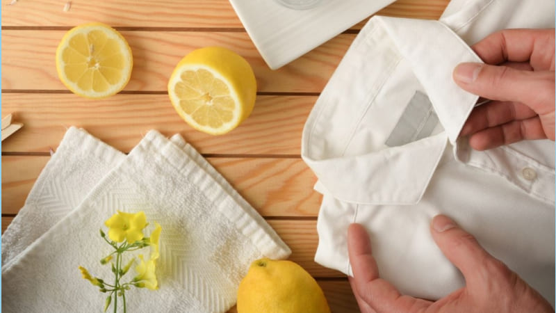 Quần áo đã lỡ bị mốc đen thì phải làm gì? Quần áo đã lỡ bị mốc đen thì phải làm gì?