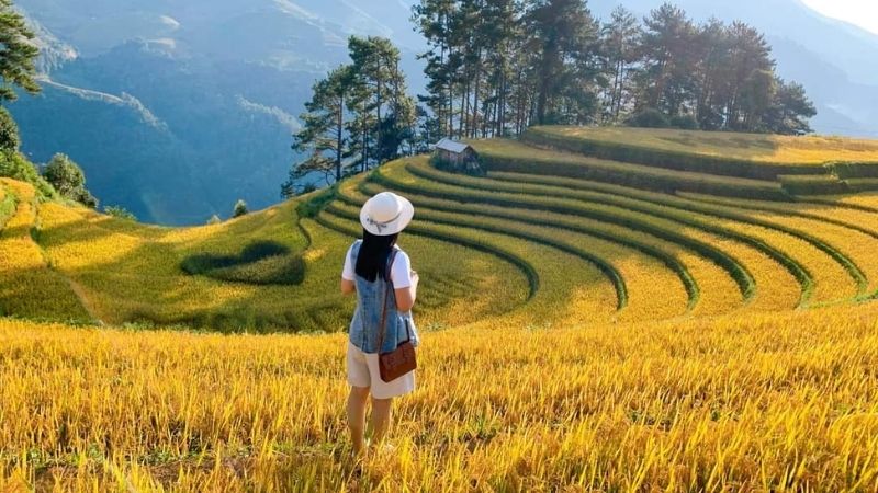 Cung đường Mù Cang Chải