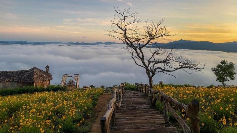 Săn mây mùa thu trên Đà Lạt có khó không?