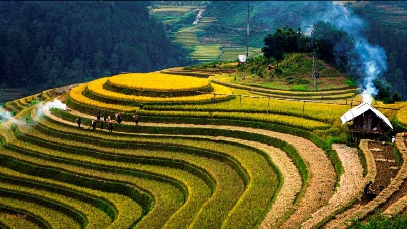 Hoàng Su Phì Hoàng Su Phì