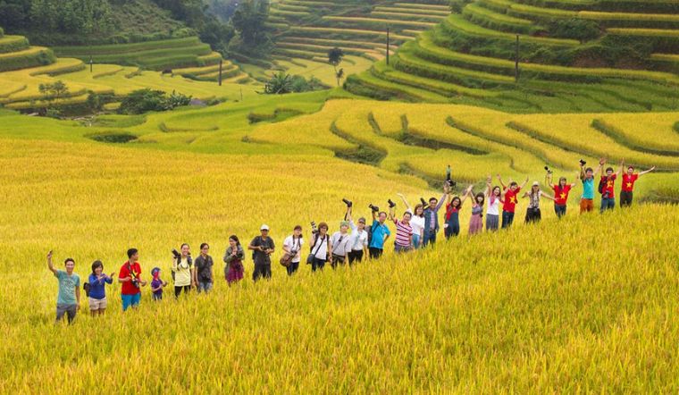 Du lịch Hà Giang mùa lúa chín (Tháng 9 - 10): Trọn bộ bí kíp.