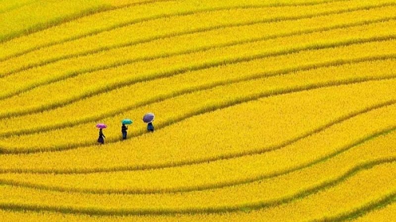 Chọn đi tự túc để linh hoạt khám phá hoặc đi tour trọn gói để thuận tiện Chọn đi tự túc để linh hoạt khám phá hoặc đi tour trọn gói để thuận tiện